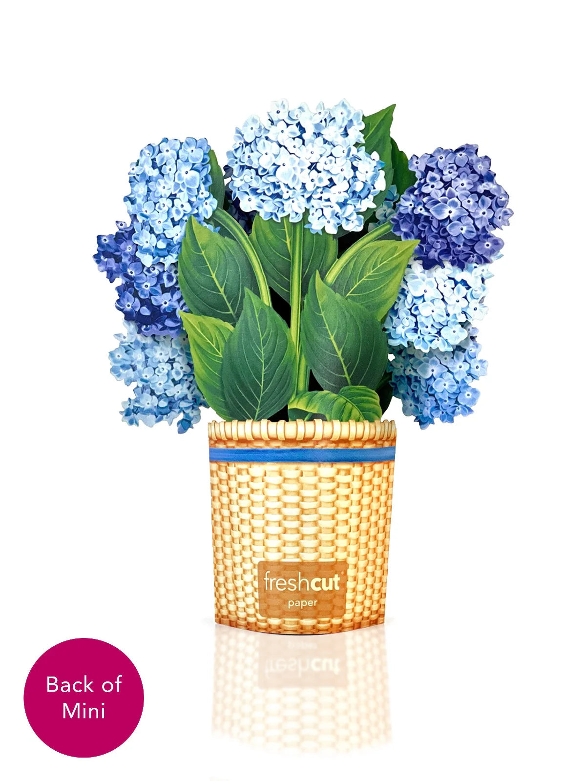 Nantucket Hydrangeas Mini Pop Up Flower Bouquet Greeting Card    