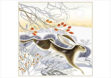Hips, Haws and Hares Jenny Tylden-Wright Boxed Holiday Cards    