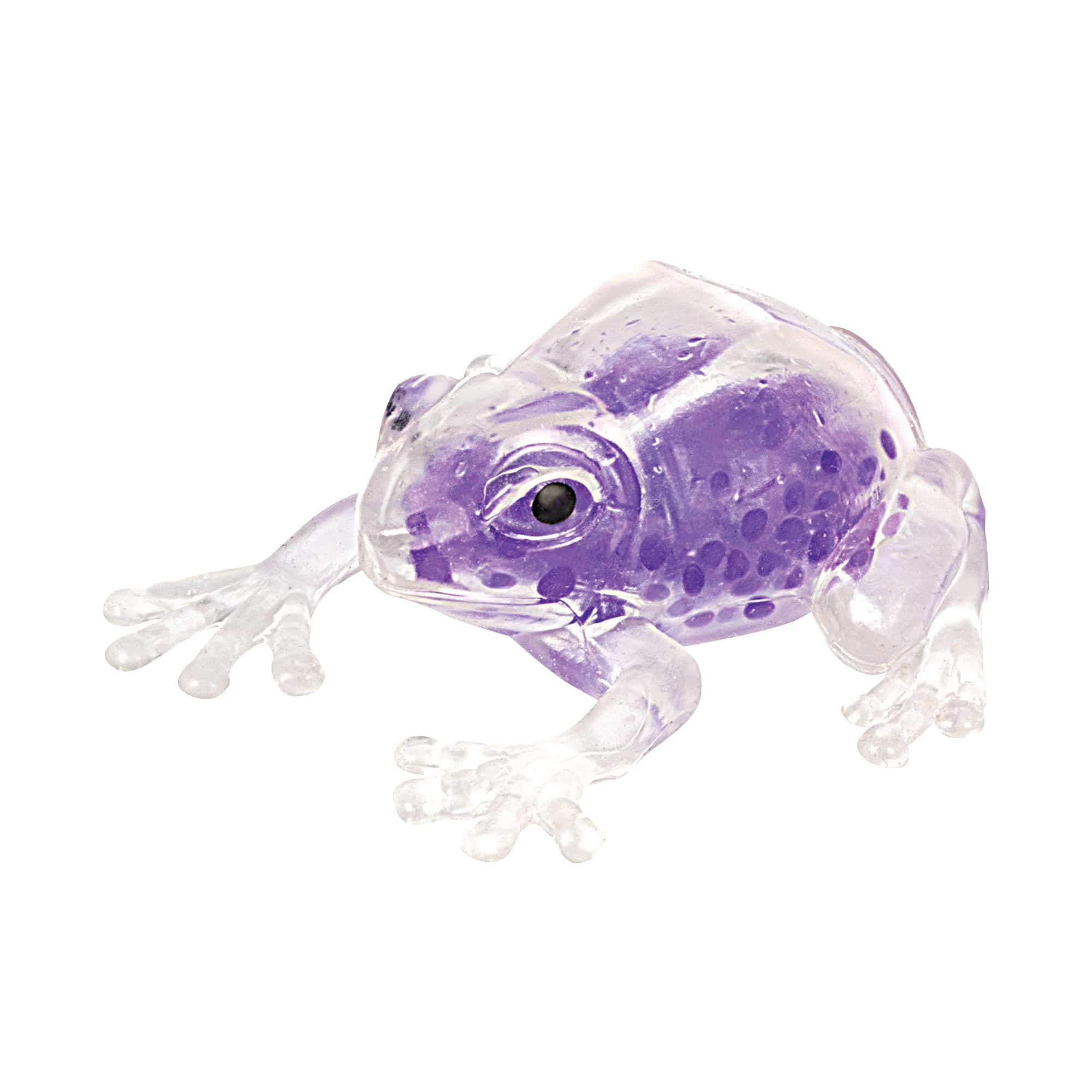 Squish The Frog  (Single) - Assorted Colors    