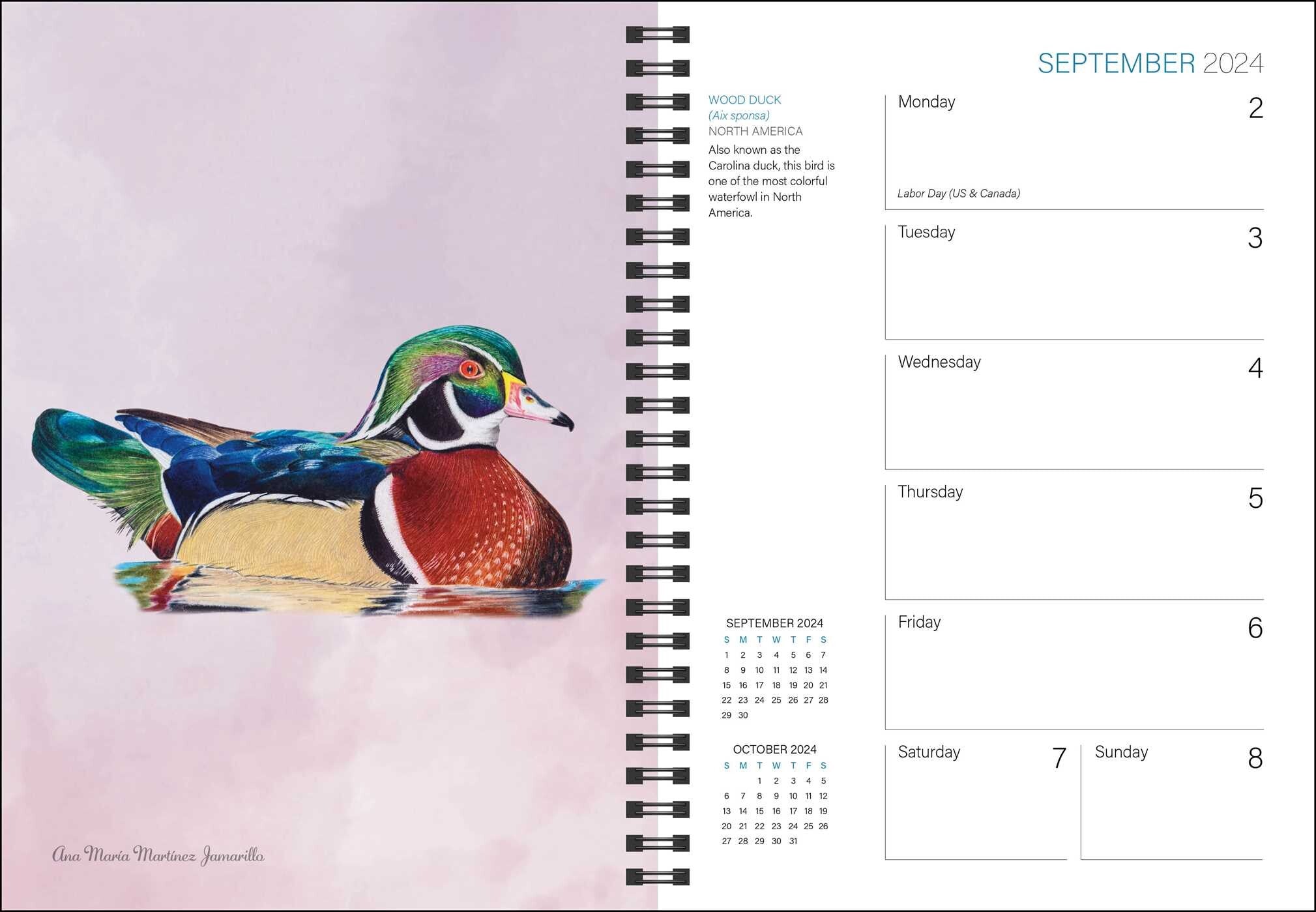 Birds of The World (The Birds of Wingspan) 2024 Planner    