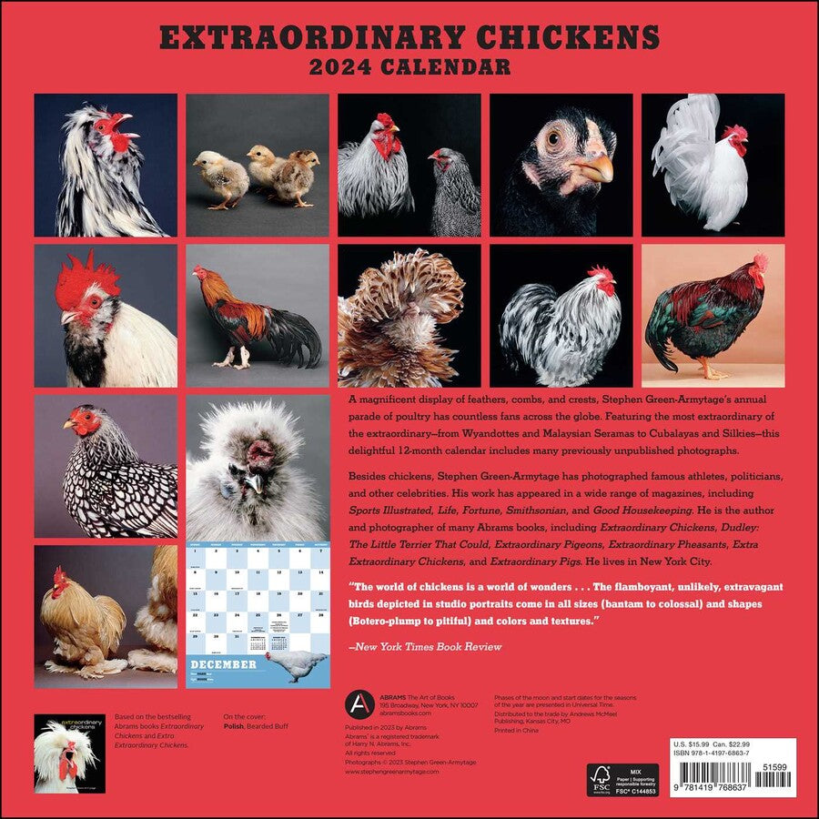Extraordinary Chickens 2024 Wall Calendar    