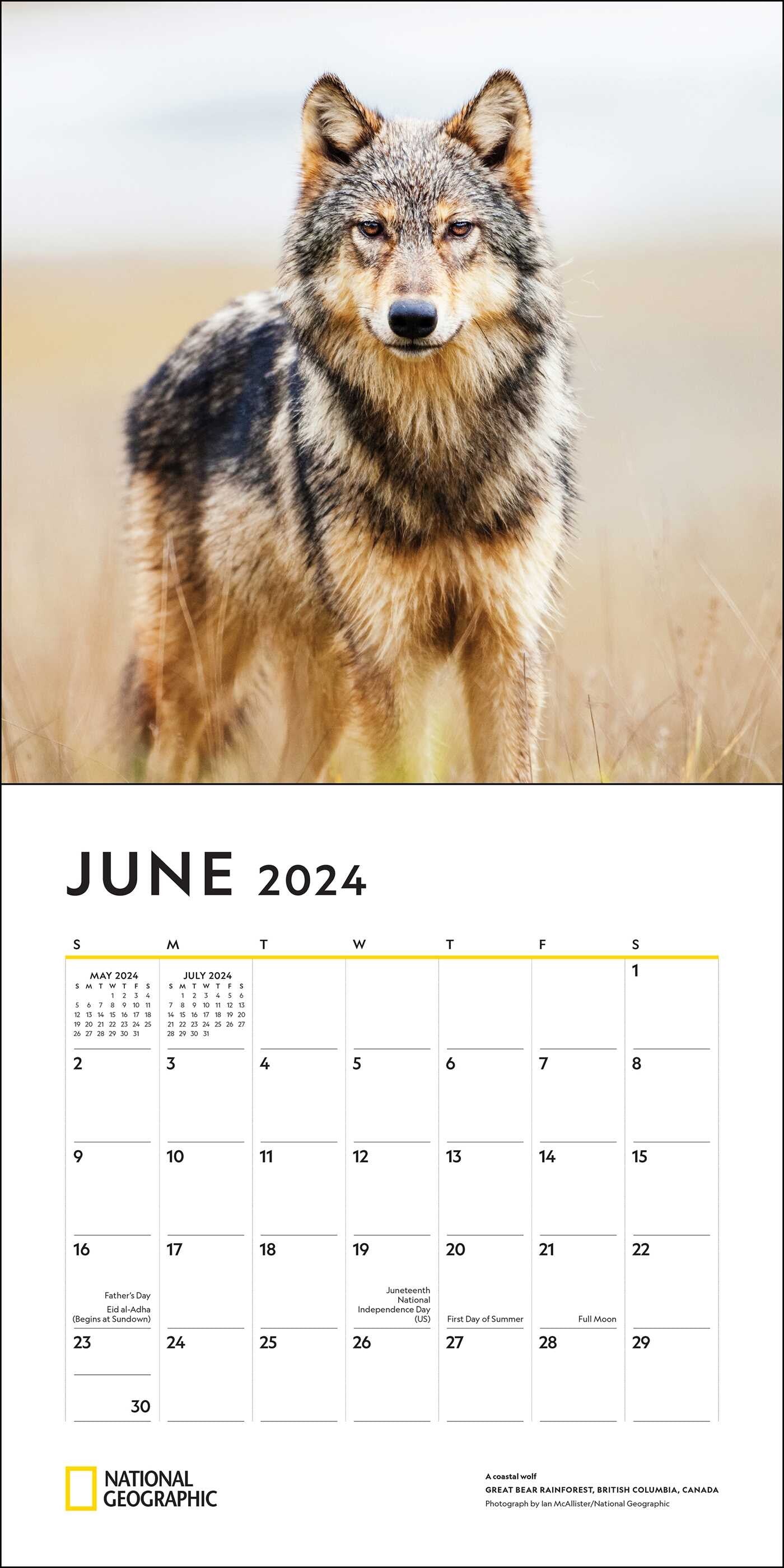 National Geographic Wolves 2024 Wall Calendar    