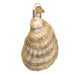 Old World Christmas - Oyster With Pearl Ornament    