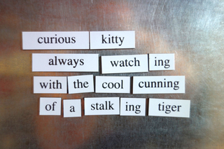 Magnetic Poetry - Cat Lover    