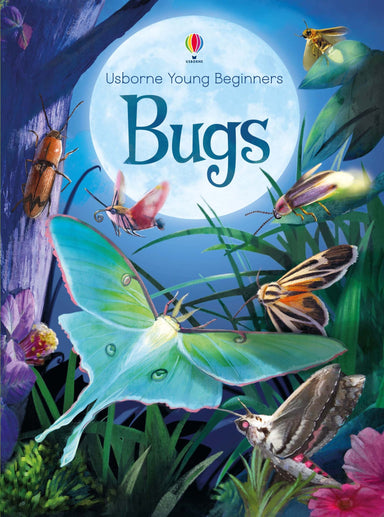Bugs Usborne Young Beginners    