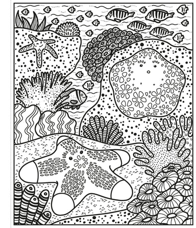 Coral Reef Magic Painting Book    