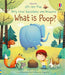 Lift The Flap Very First Questions and Answers - What Is Poop?    