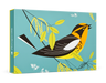 Charley Harper Blackburnian Warbler Boxed Note Cards    