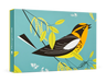 Charley Harper: Blackburnian Warbler Boxed Note Cards