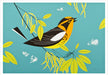 Charley Harper: Blackburnian Warbler Boxed Note Cards