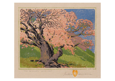 Gustave Baumann The Bishop's Apricot Boxed Note Cards    