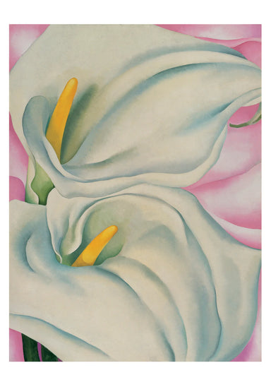 Georgia O'Keeffe Two Calla Lilies on Pink Boxed Note Cards    