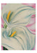 Georgia O'Keeffe Two Calla Lilies on Pink Boxed Note Cards    