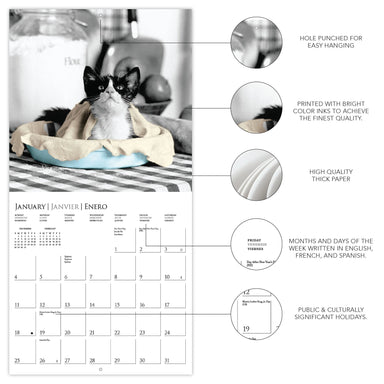 Classic Cats 2026 Mini Wall Calendar