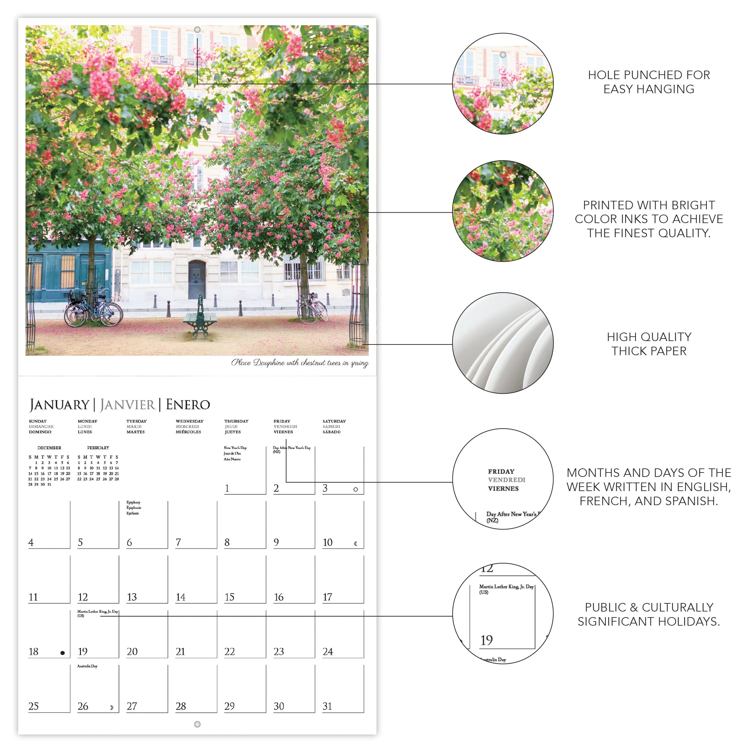 A Parisian Life 2026 Wall Calendar
