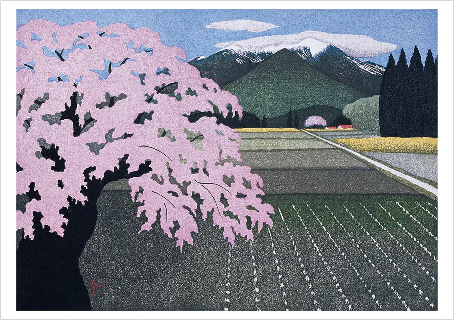 POM Kazuyuki Ohtsu: Cherry Trees Boxed Notecard Assortment