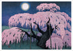 POM Kazuyuki Ohtsu: Cherry Trees Boxed Notecard Assortment