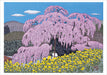 POM Kazuyuki Ohtsu: Cherry Trees Boxed Notecard Assortment