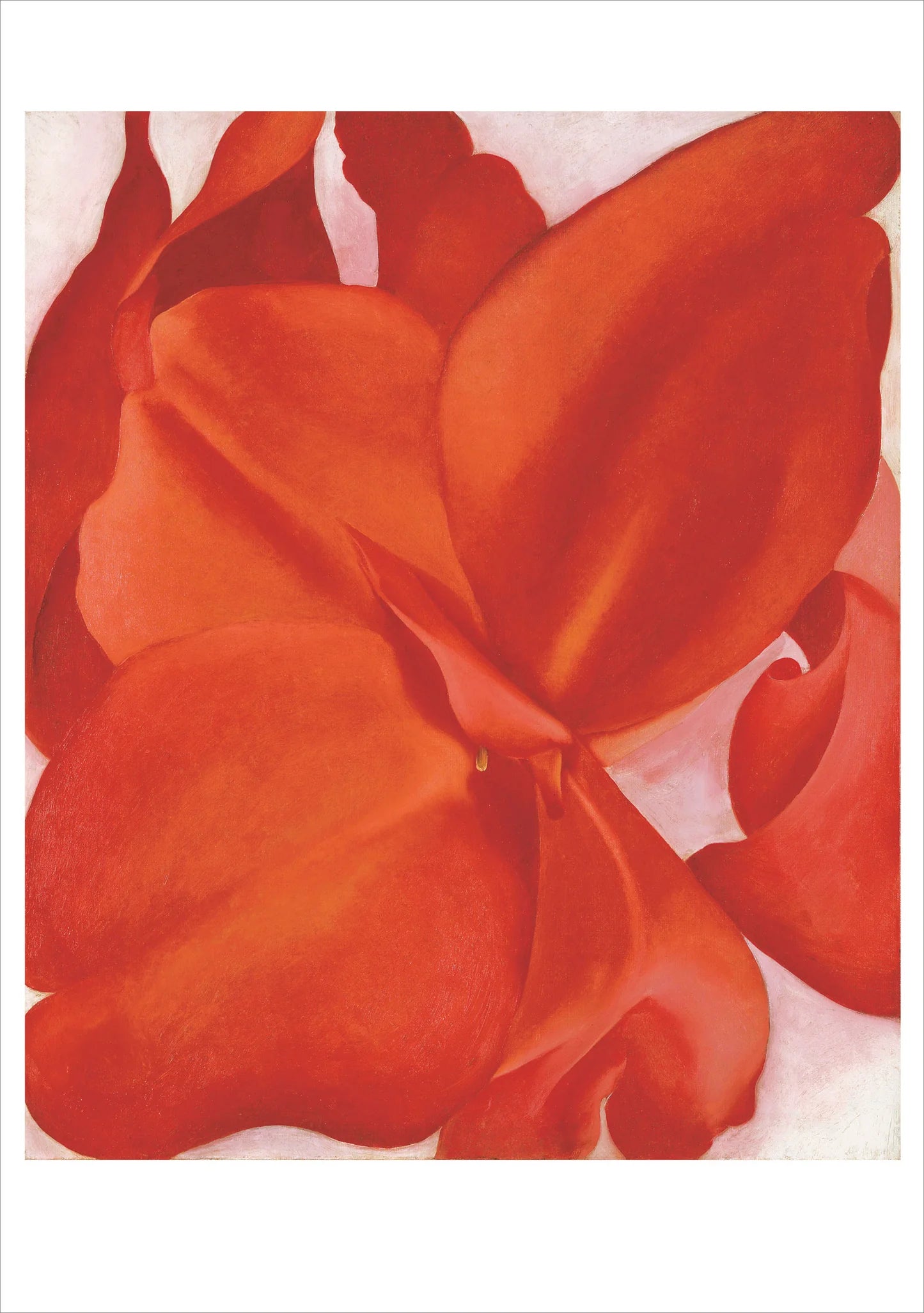 Georgia O'Keeffe Boxed Assorted Note Cards