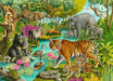 Animals of India 60 Piece Puzzle