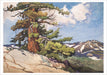 William S. Rice Watercolors - Boxed Assorted Note Cards    