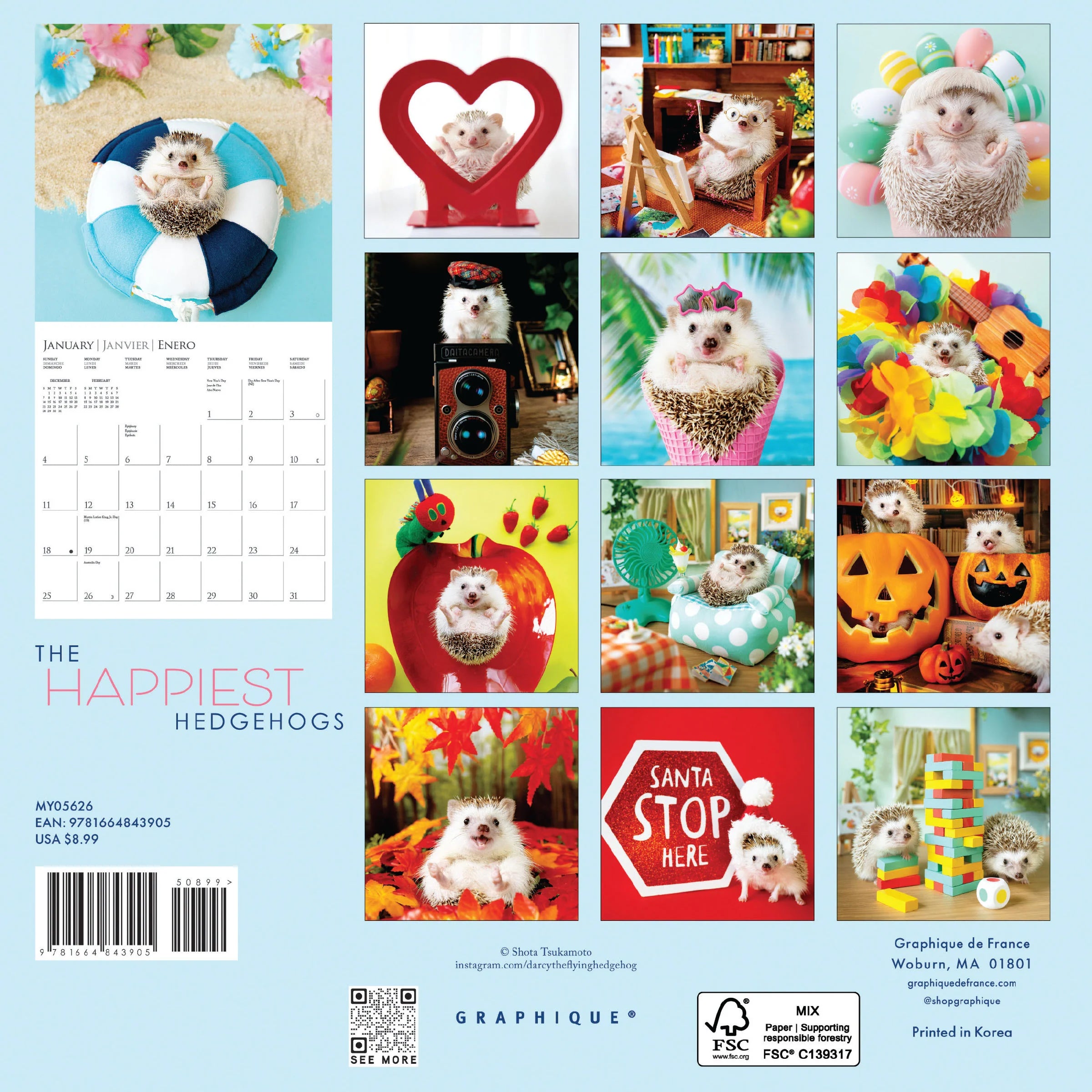 Happy Hedgehog 2026 Mini Wall Calendar