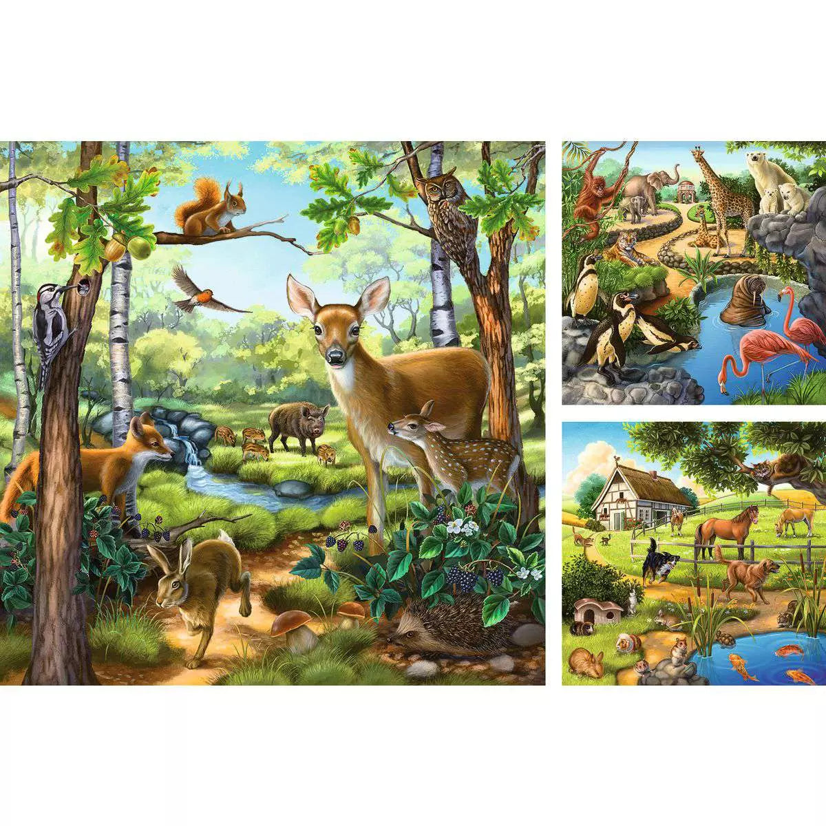 RAV Forest, Zoo, Domestic Animals 3x49 Piece Puzzles