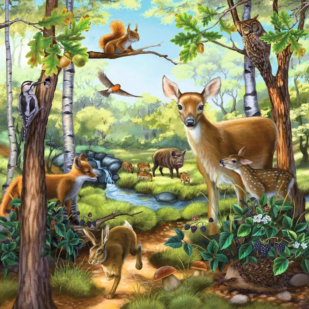 RAV Forest, Zoo, Domestic Animals 3x49 Piece Puzzles