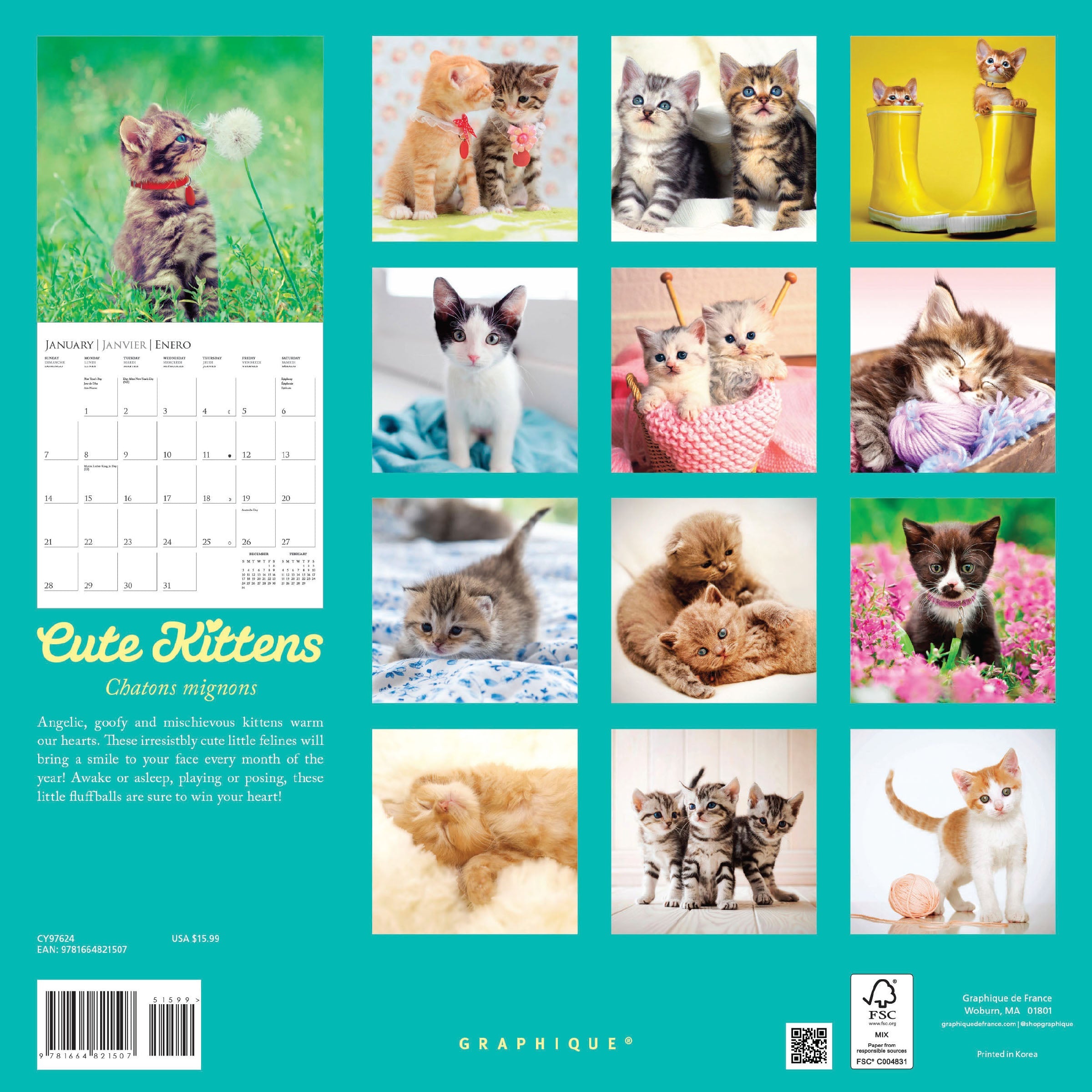 Cute Kittens 2024 Wall Calendar    