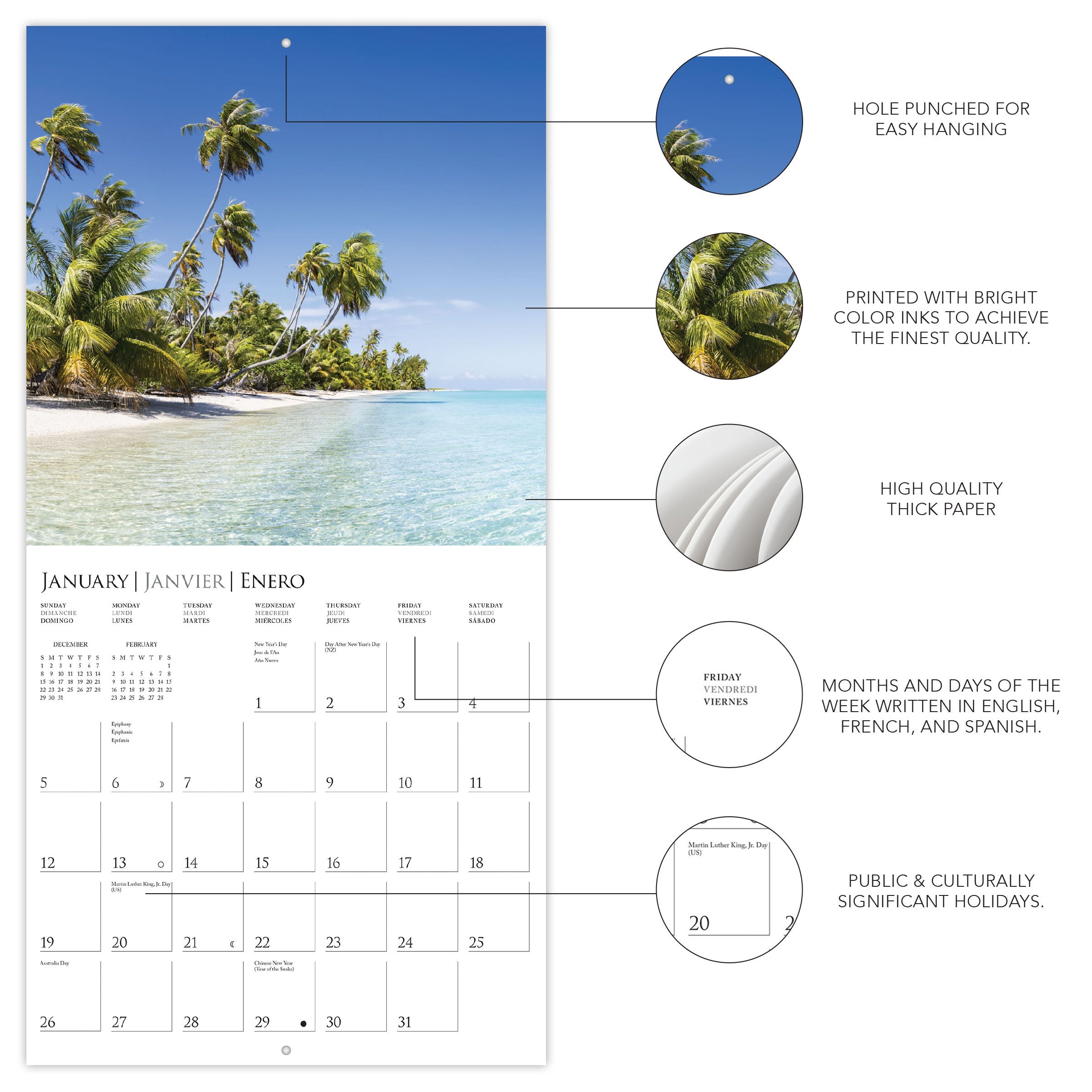 Island Paradise 2025 Wall Calendar    