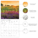 Provence 2025 Mini Wall Calendar    