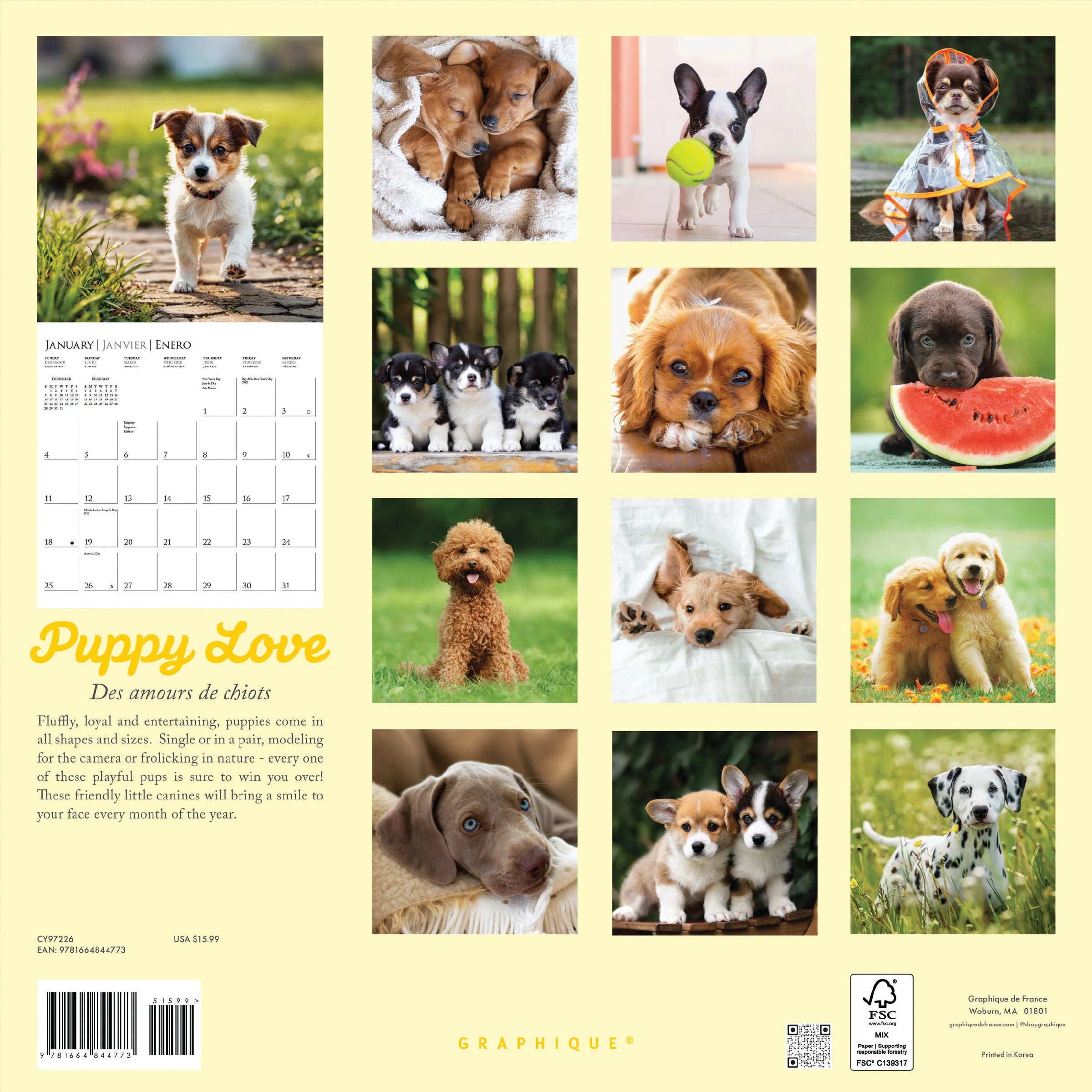 Puppy Love 2026 Wall Calendar