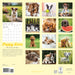 Puppy Love 2026 Wall Calendar
