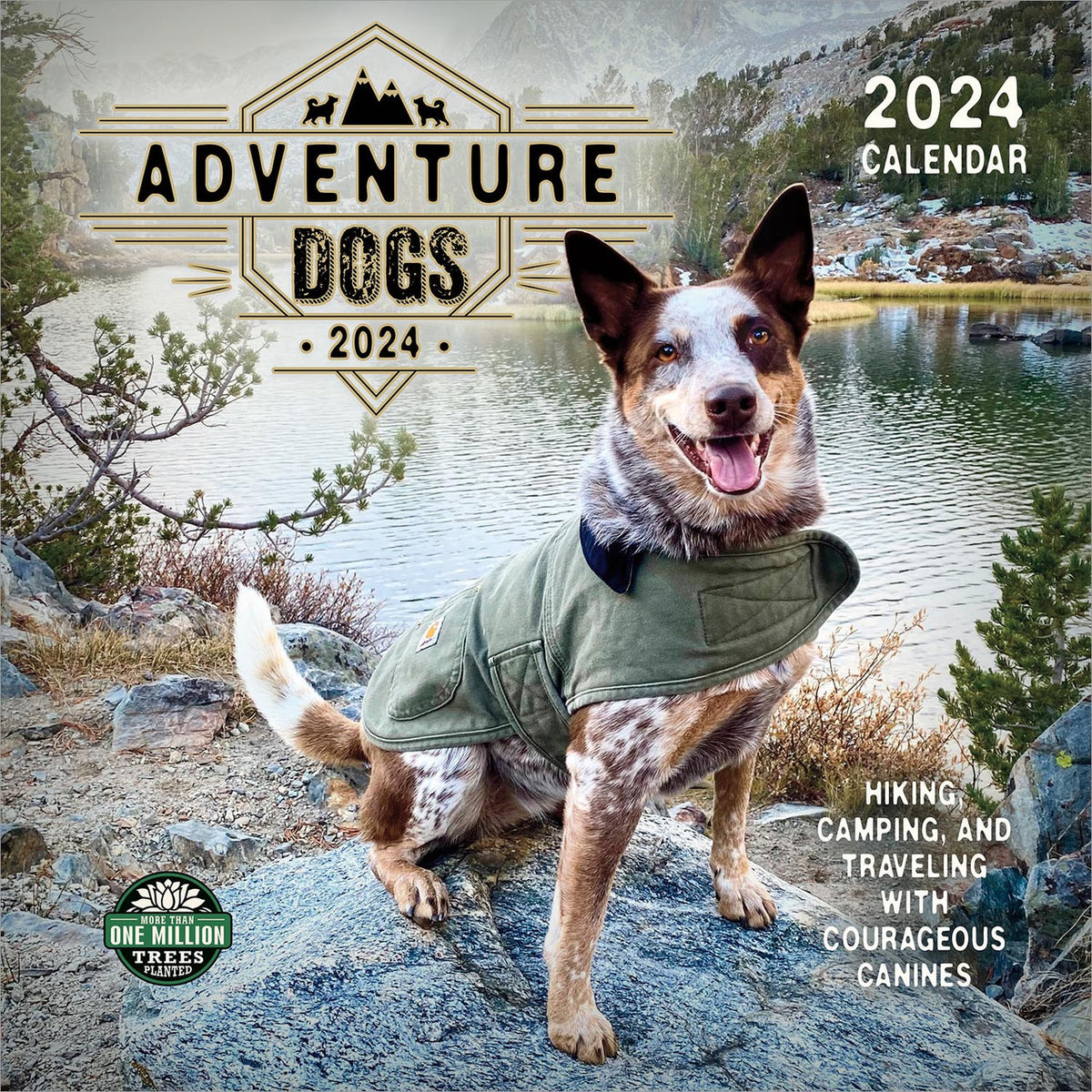 Adventure Dogs 2024 Wall Calendar Bird In Hand   1 24AD  36134 1200x1200 