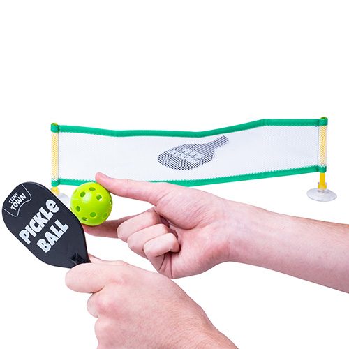 Probably The Worlds Smallest Pickle Ball Game