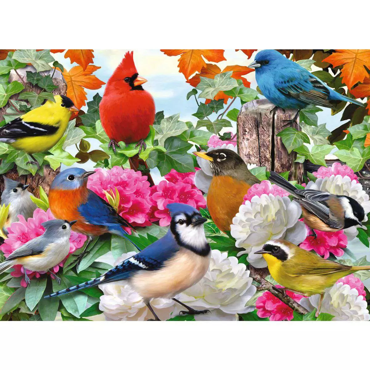 Garden Birds 500 Piece Puzzle