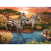 Zebras at Waterhole 500 Piece Puzzle