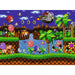 Sonic The Hedgehog: Classic Sonic 500 Piece Puzzle