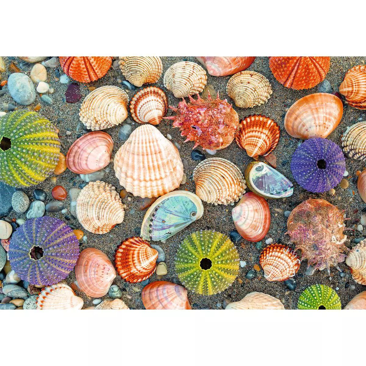 RAV Puzzle Moments: By the Seashore 300 Piece Puzzle