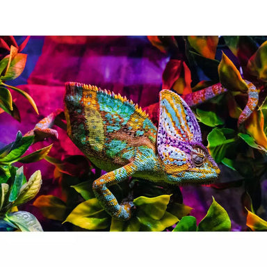 Chameleon 500 Piece Puzzle