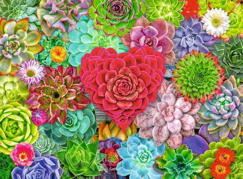 Succulent Love 500 Piece Puzzle