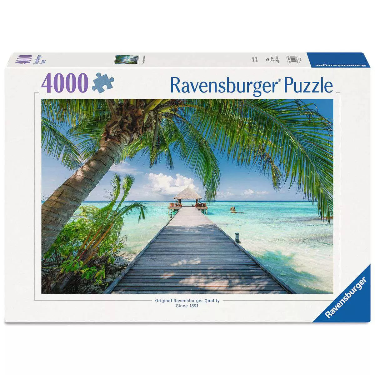 Puzzles - 4000 Piece Jigsaw Puzzles