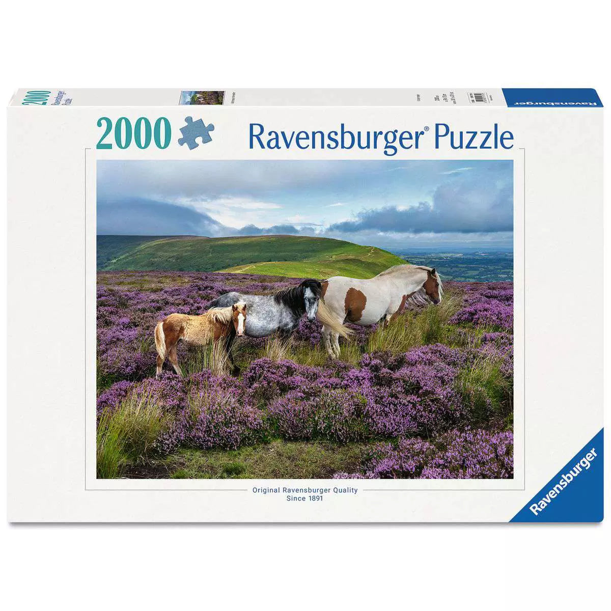 Puzzles - 2000 Piece Jigsaw Puzzles