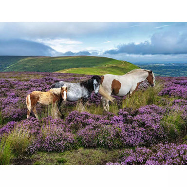 Wild Horses in the Heather 2000 Piece Puzzle