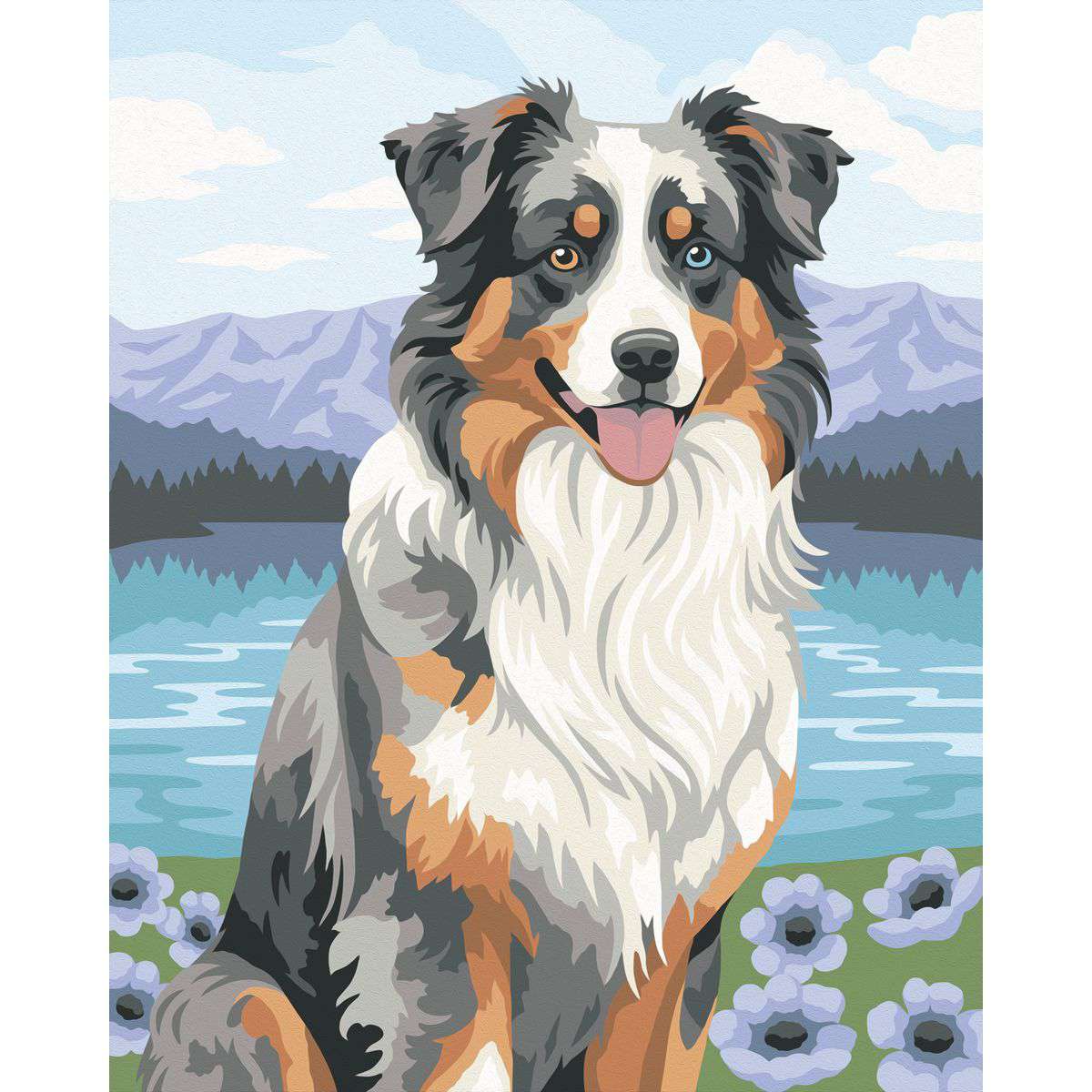 RAV CreArt Australian Shepherd Paint-by-Number