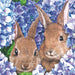 Hydrangea Bunnies Cocktail Napkins