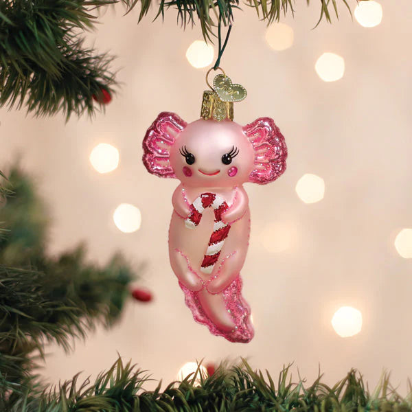 Old World Christmas Axolotl With Candy Cane Ornament
