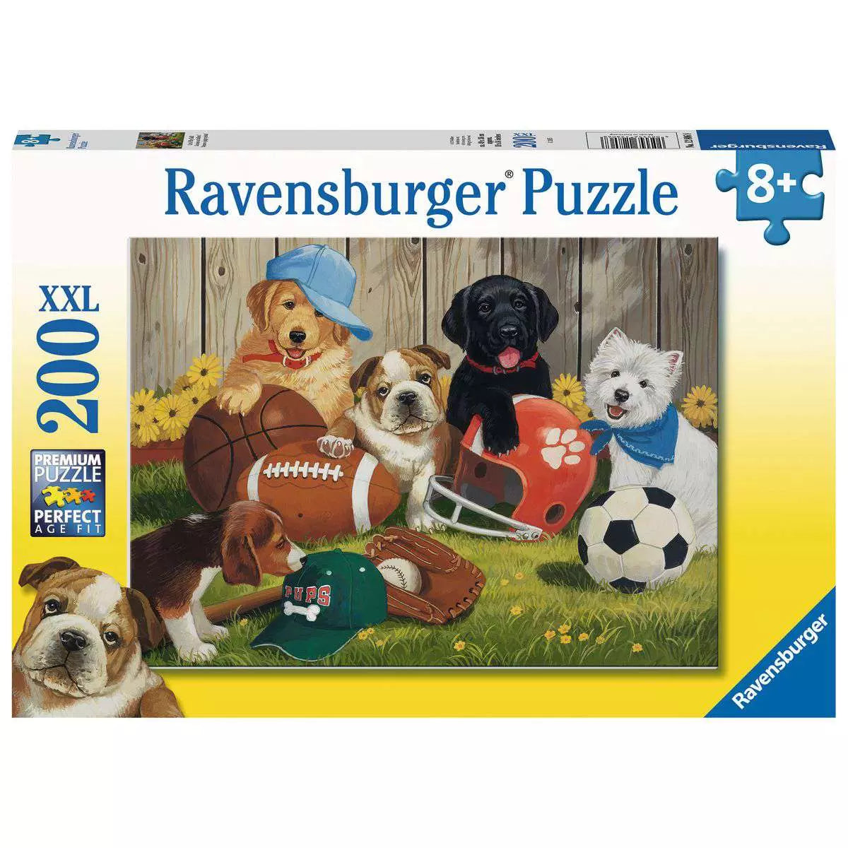 Lets Play Ball! 200 Piece Puzzle