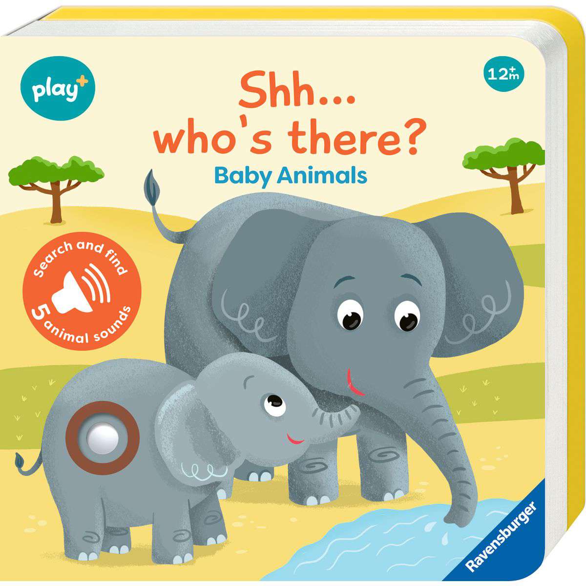 RAV Shh…Who's There? Baby Animals
