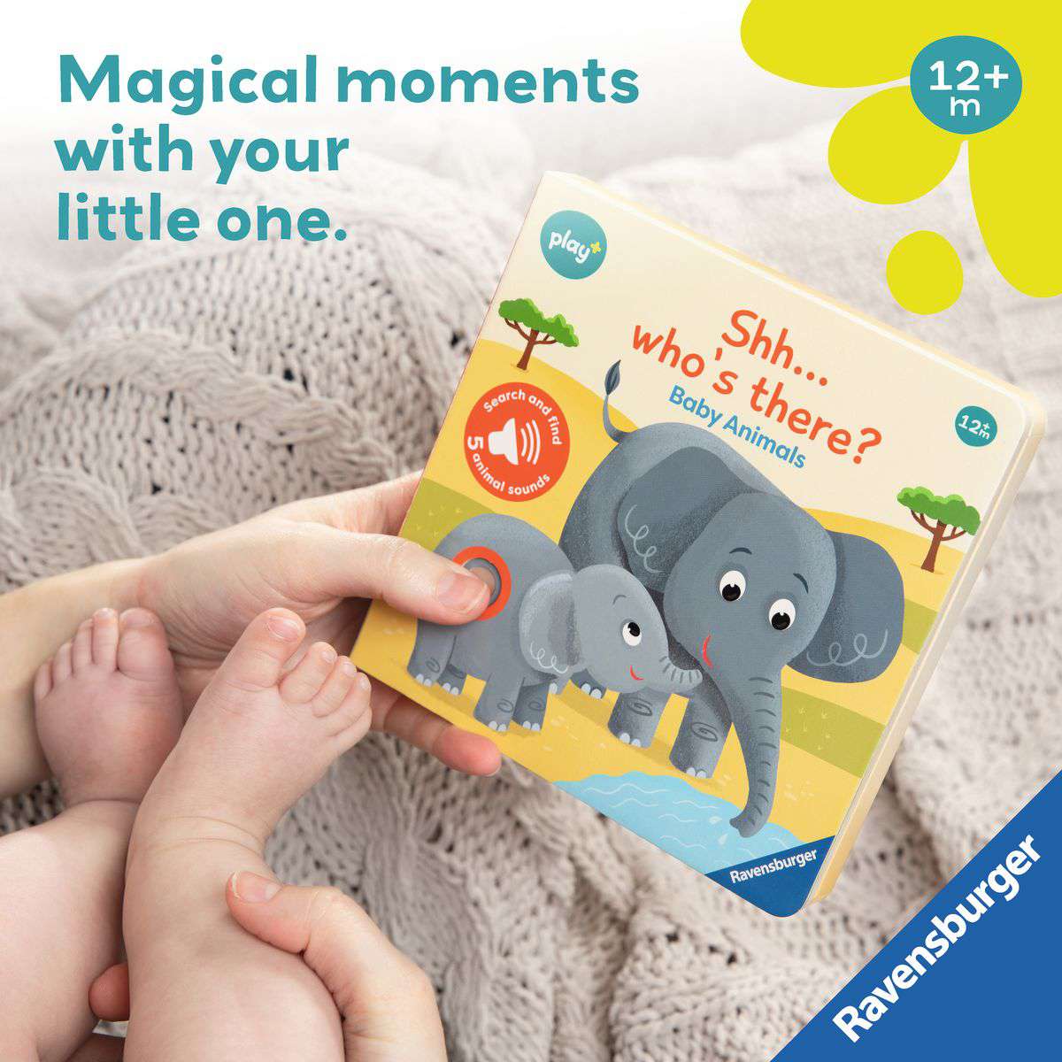 RAV Shh…Who's There? Baby Animals